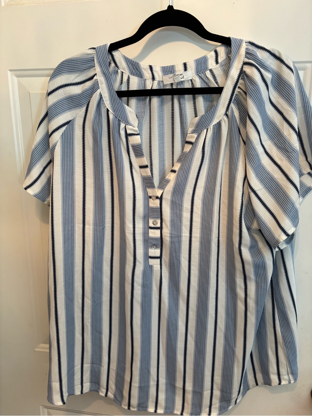 Blue & White Striped Short-Sleeve Henley Blouse